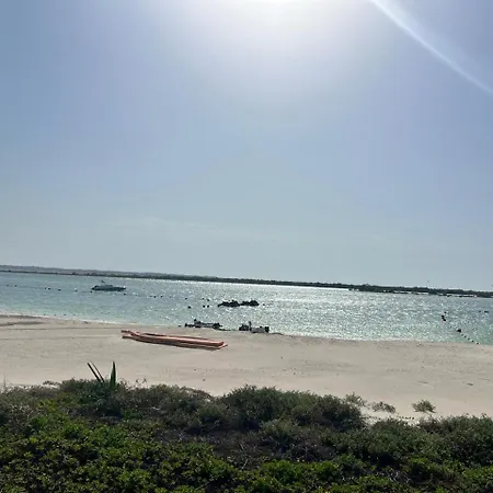 Yas Island Mayan Junior 1B Apartment 1
